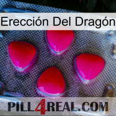 Erección Del Dragón 13